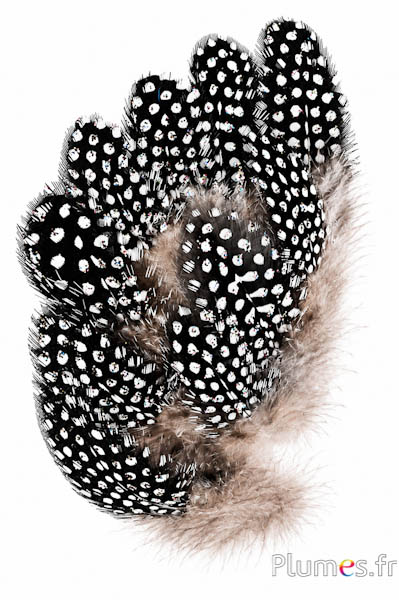 Perlhuhn mit mehrfarbigen Glitzer - 8-12 cm - natur